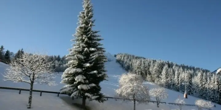 Appartement à Torgon, Portes du Soleil