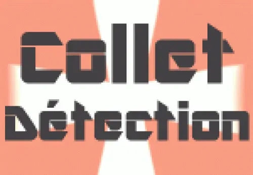 Détecteurs de métaux - divers marques