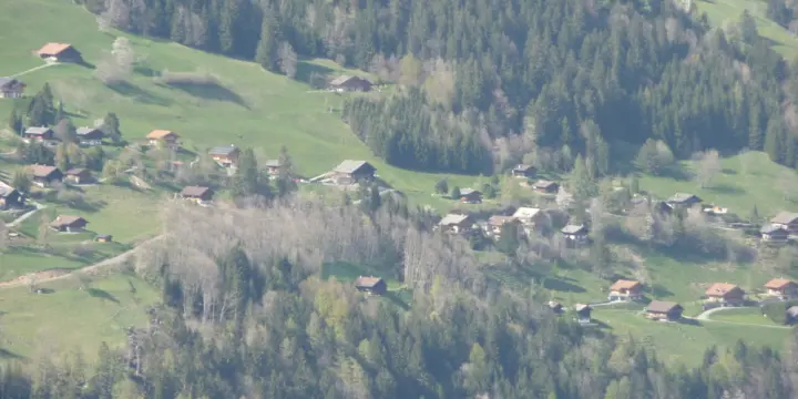 Belle parcelle de 903 m2 à construire au-dessus du village de Champéry