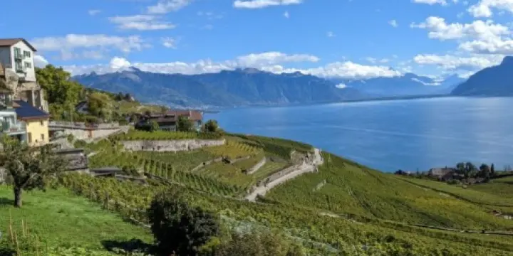 Magnifique villa neuve de 6.5 pièces vue panoramique sur le lac à Chexbres