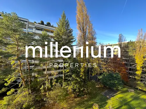 Luxurious apartment near Parc Bertrand, Champel