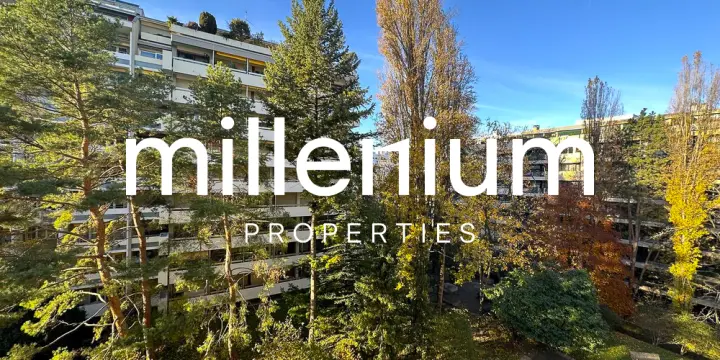 Luxurious apartment near Parc Bertrand, Champel