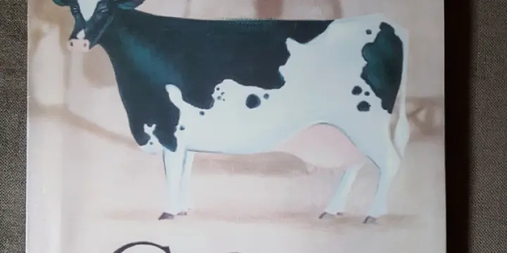 Tableau "cow"