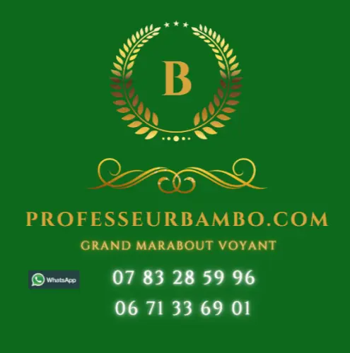 Professeur Bambo à albi