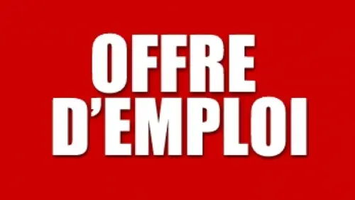 Nous cherchons des personnes  (mini 800chf par moins) à zurich