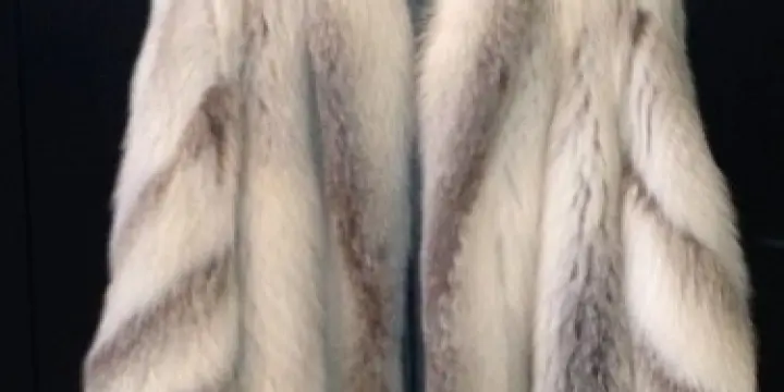 manteau fourrure Renard Blanc