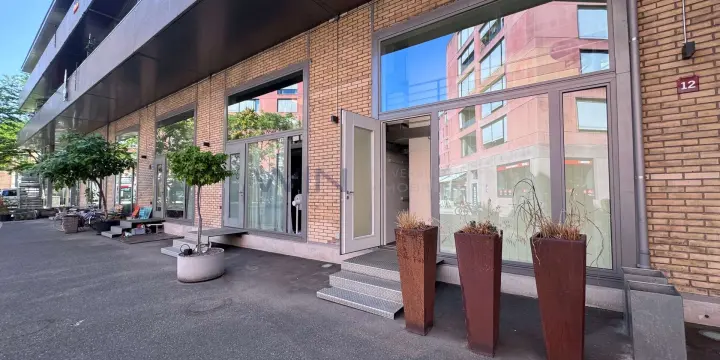 Exklusives Wohn- und Gewerbe-Loft in Winterthur