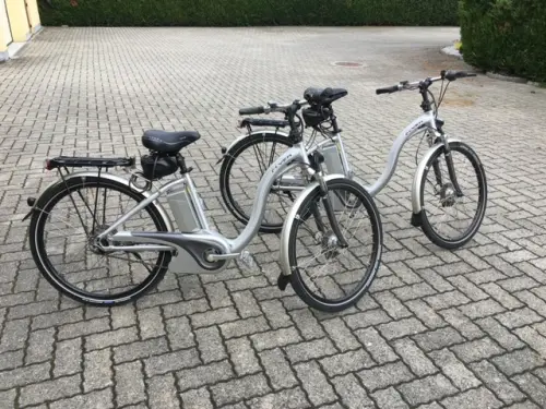 VELOS ELECTRIQUES DE MARQUE FLYER à Cheseaux-sur-Lausanne