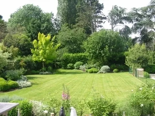Paysagiste qualifié pour votre jardin à Belmont