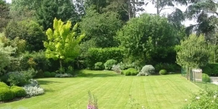 Paysagiste qualifié pour votre jardin