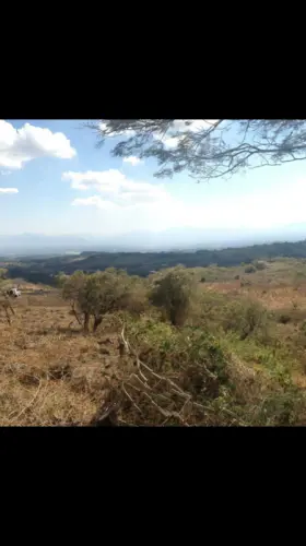 Terrain de 20'700 m2 au-dessus de Colima au Mexique à Colima