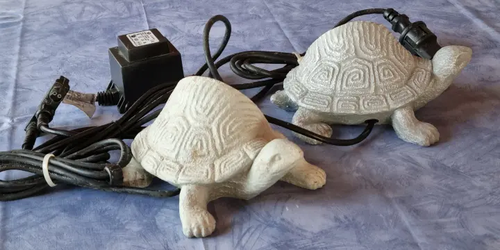 Projecteurs tortues de jardin