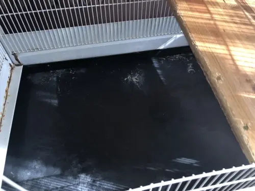 Cage pour rongeurs à Boécourt