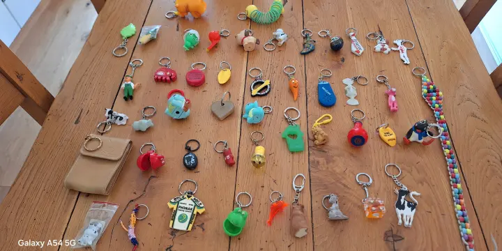 Lot de portes clefs
