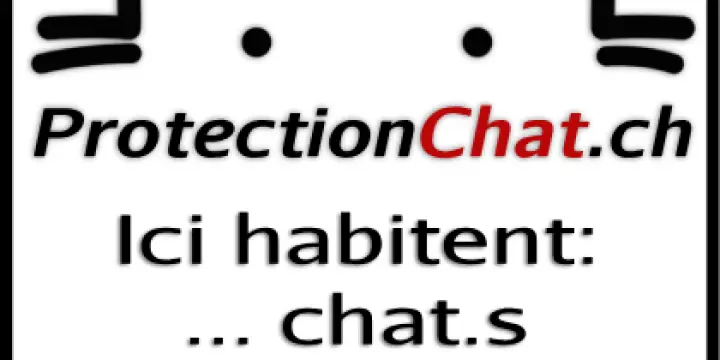 Filet de protection pour chats - Installation