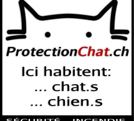 Filet de protection pour chats - Installation