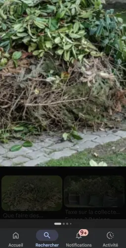 débarras végétaux et coupes des arbres ou branches à Lausanne