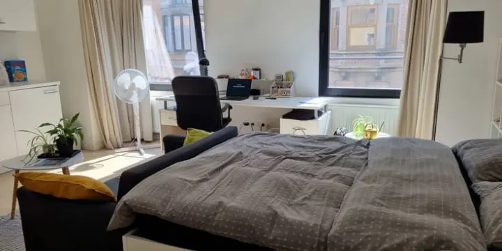 Studio une chambre de 24 m²récemment rénovée sur Berne