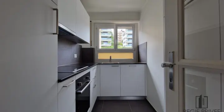 Appartement de 2.5 pièces rénové vue sur le lac