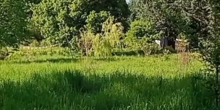 Recherchons une petite parcelle dans le canton de Vaud ou Valais