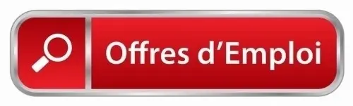 offre  d'emploi à distance  à bâle
