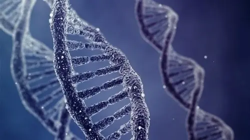 Répétiteur en Sciences à Genève à Genthod