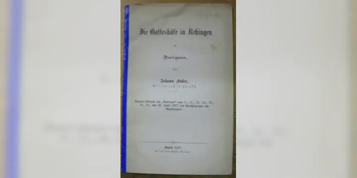 Die Gotteshöfe in Rekingen im Aargau. Separat-Abdruck des Vaterland.