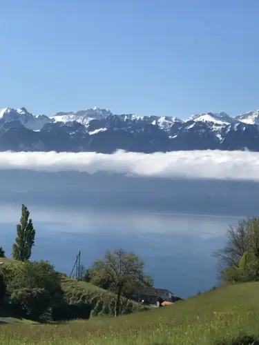 UNIQUE terrain avec permis: 1 ou 2 lots, vue panoramique! à Grandvaux