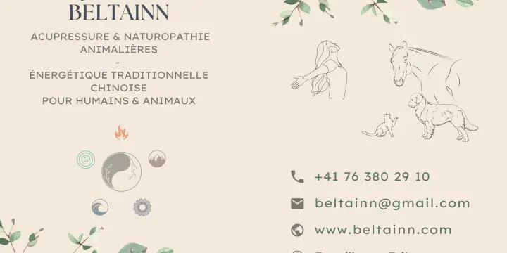 Équilibre et vitalité avec l’Énergétique Chinoise