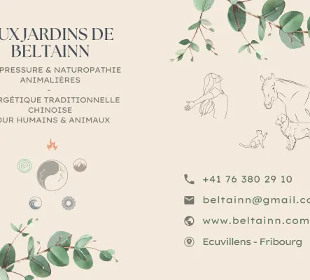 Équilibre et vitalité avec l’Énergétique Chinoise