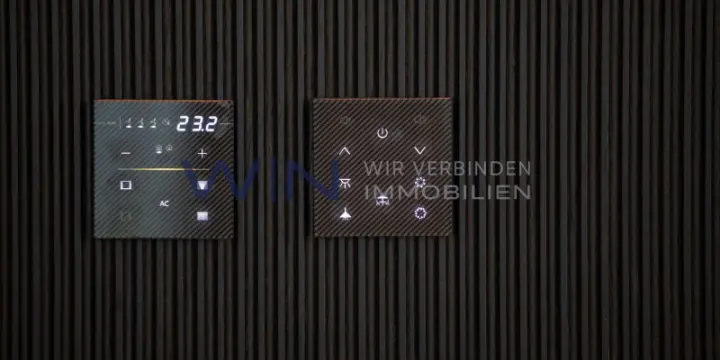 Durchess Black beauty