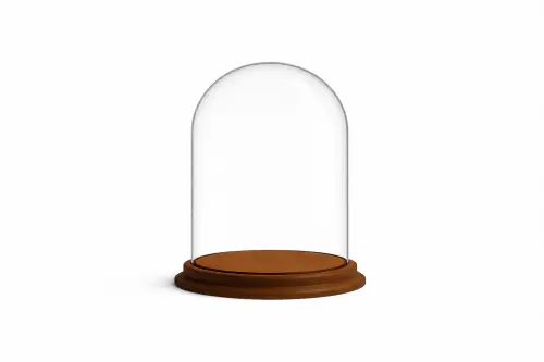 Cloches en verre avec socle en bois