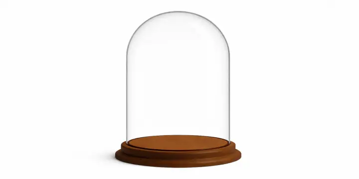 Cloches en verre avec socle en bois
