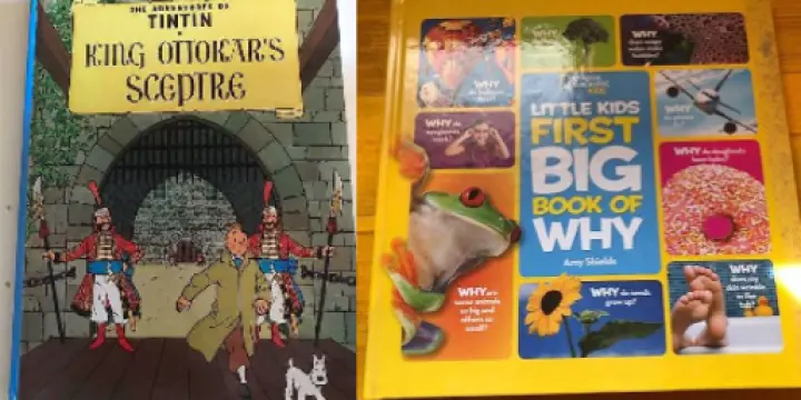 2 Livres pour enfants en anglais - 2 Books for children in English
