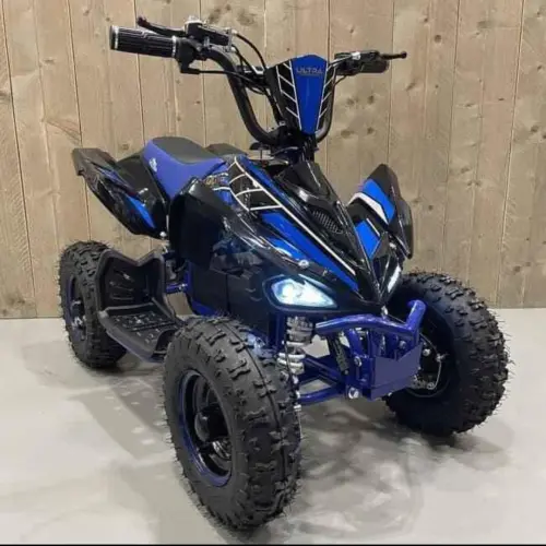 Elektrisches Quad à Lungern