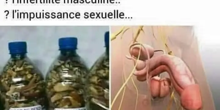 POMMADE POUR L'ELARGISSEMENT DU PENIS