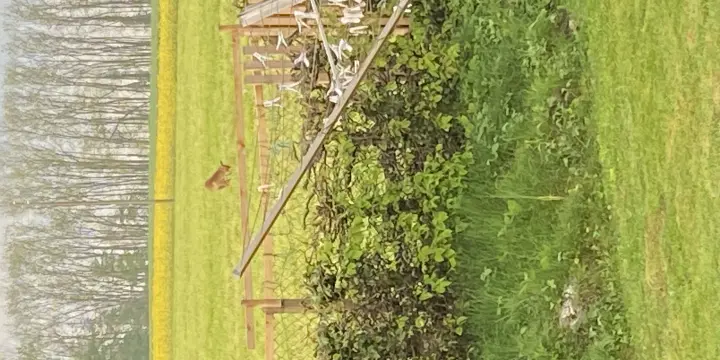 Portalban - Chalet au cœur de la nature