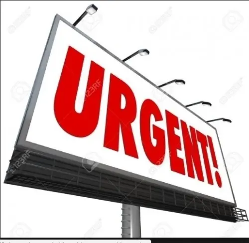 Recherche local commercial pour magasin  à Versoix