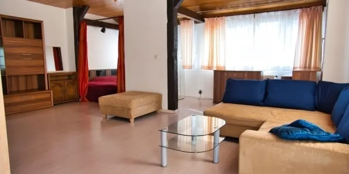 Loft spacieux et meublé à Bellevue tout compris