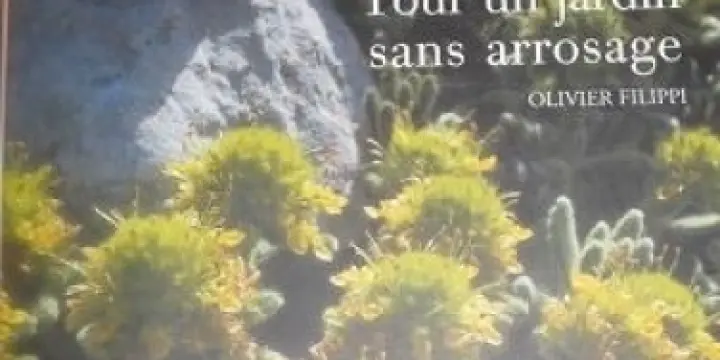 Pour un jardin sans arrosage
