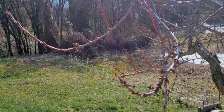 Magnifique parcelle au centre du village de Chermignon-d'en-Haut