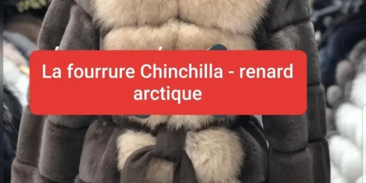 Veste fourrure Chinchilla - renard arctique M/L