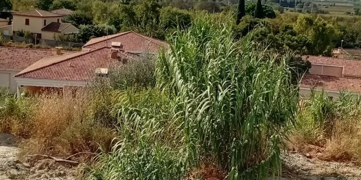 DANS LES HAUTEURS DE LA TRES BELLE VILLE DE PEZENAS