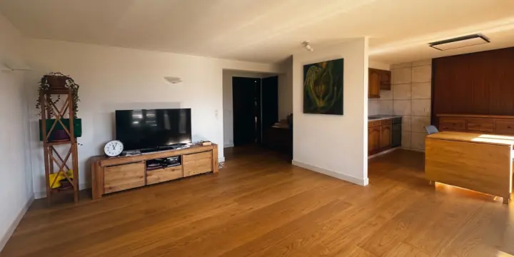 Splendide appartement 2,5 pièces à 10 minutes de Sion !
