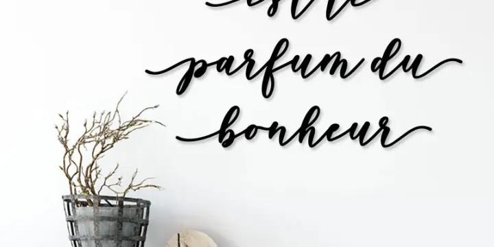 Live Sex Cam XXX by VIPShow