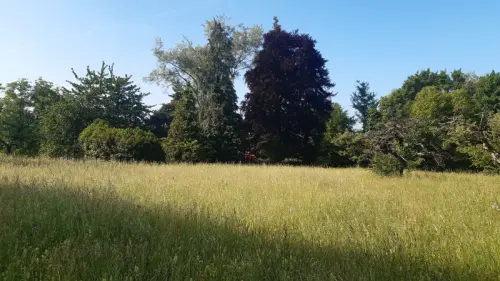 Pension pré Genève (logement cavalier compatible) à Meyrin-Satigny