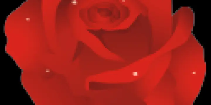 Jeune homme ouvert à tout