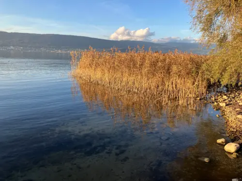 Un accompagnement coaching de vie à Neuchâtel