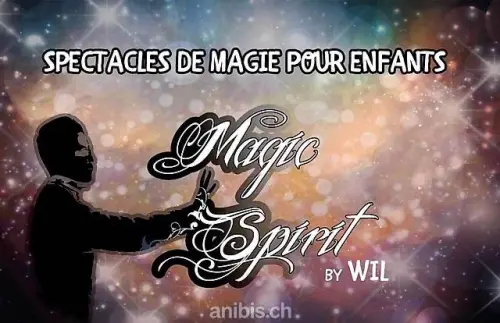 Magicien pour Enfants, spectacle Anniversaire