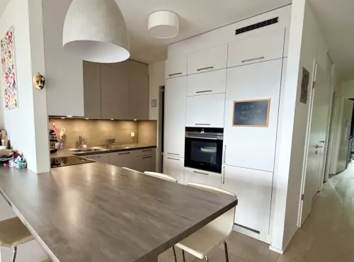 Appartement contemporain avec vue dominante sur Genève, dans un écrin de verdure à Carouge GE